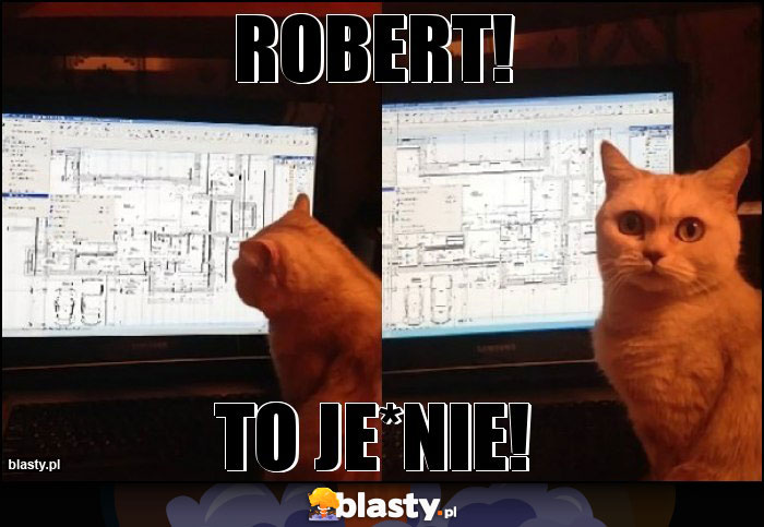 Robert!