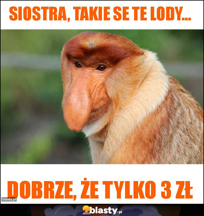 Siostra, takie se te lody...