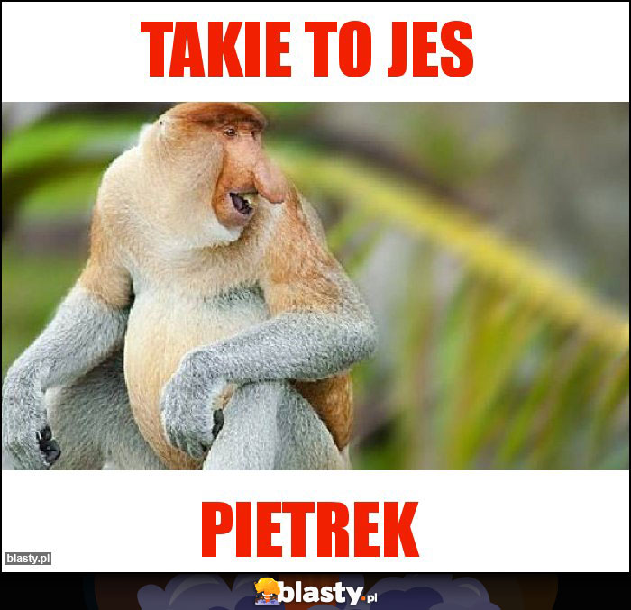 Takie to jes