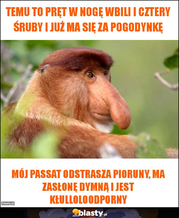 Temu to pręt w nogę wbili i cztery śruby i już ma się za pogodynkę