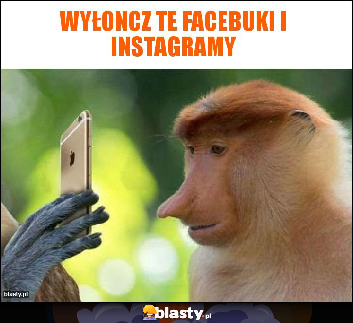 Wyłoncz te facebuki i instagramy