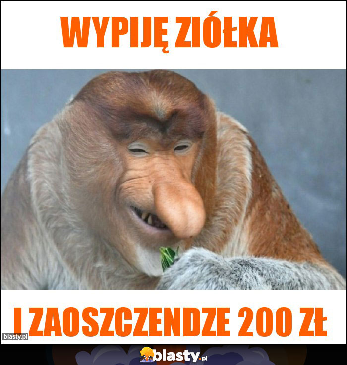 Wypiję ziółka