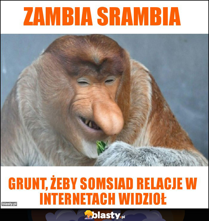 Zambia srambia