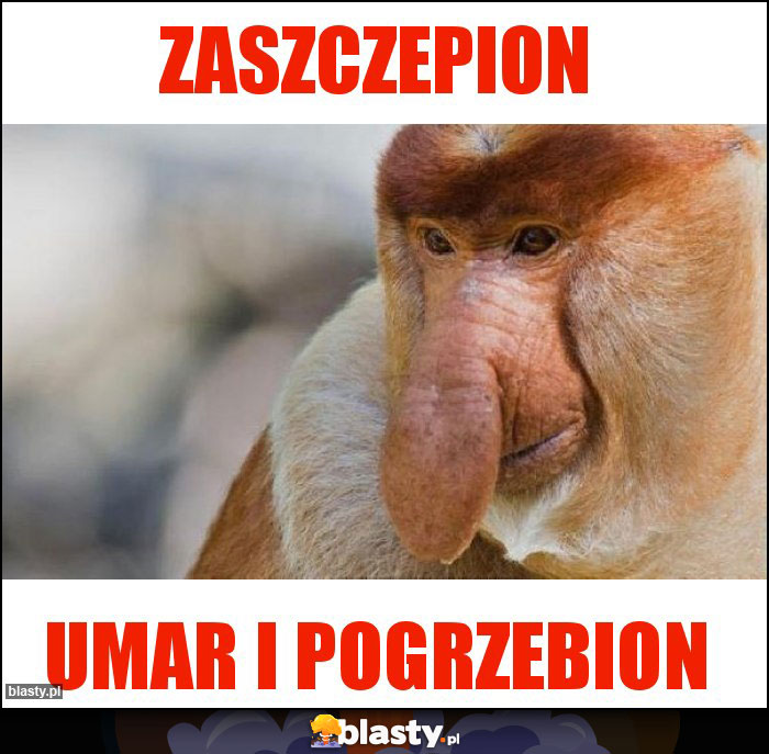 Zaszczepion