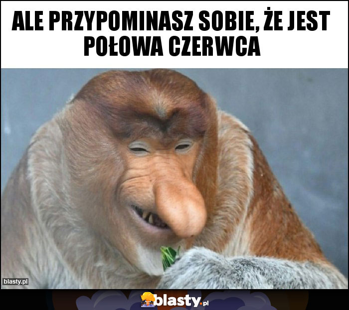 ale przypominasz sobie, że jest połowa czerwca