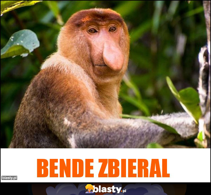 Bende zbieral