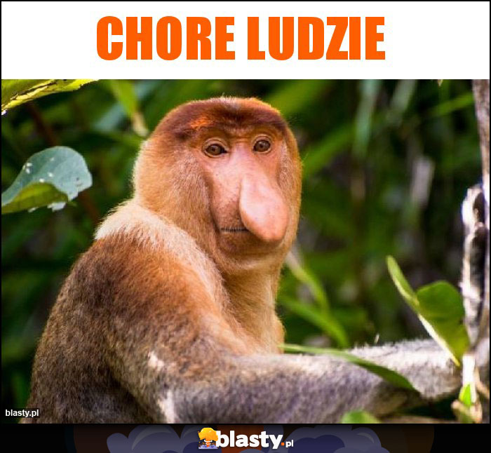 CHORE LUDZIE