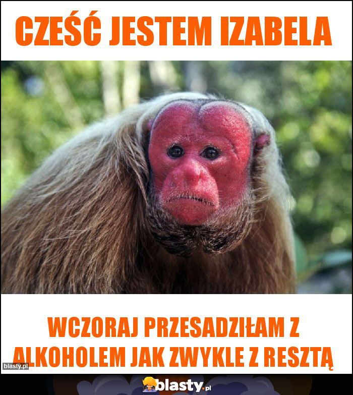 Cześć jestem Izabela
