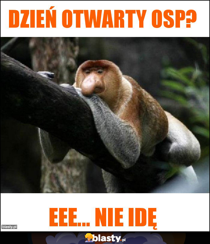 Dzień otwarty OSP?