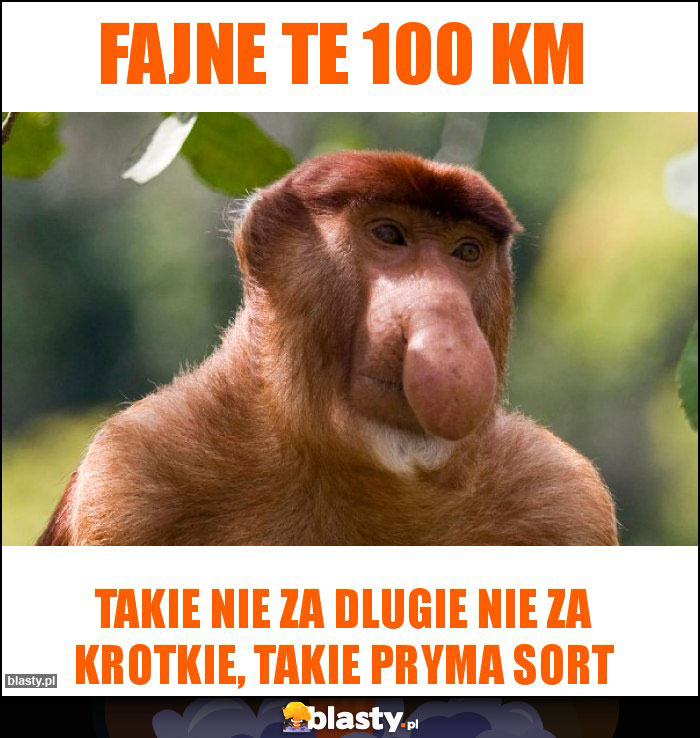 Fajne te 100 km