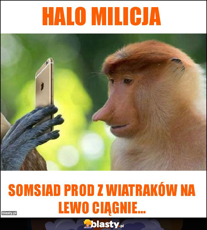Halo milicja