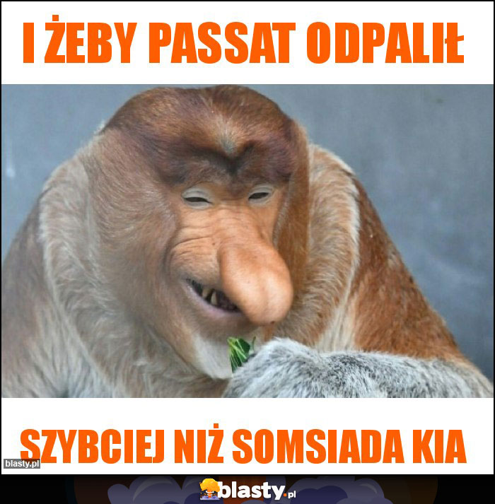 i żeby passat odpalił