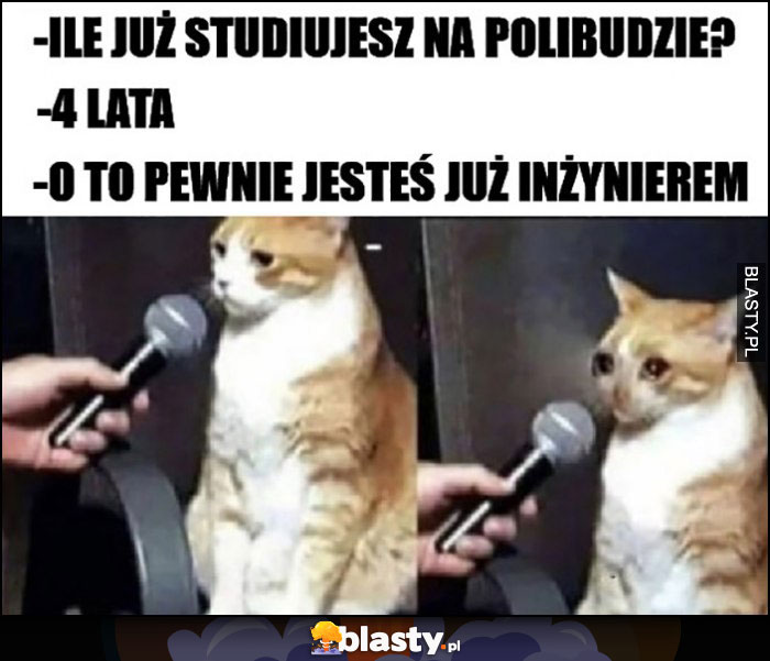 Ile już studiujesz na polibudzie? 4 lata, o to pewnie jesteś już inżynierem kot płacze