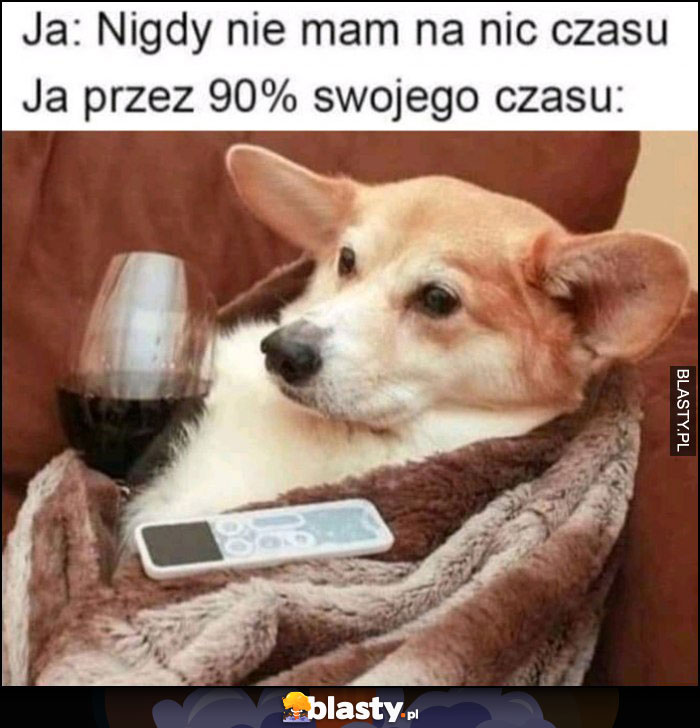 Zodiakara tłumacząca ci dlaczego nie możecie być razem