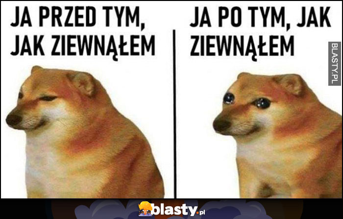 Ja przed tym jak ziewnąłem vs po ziewnięciu pies pieseł doge