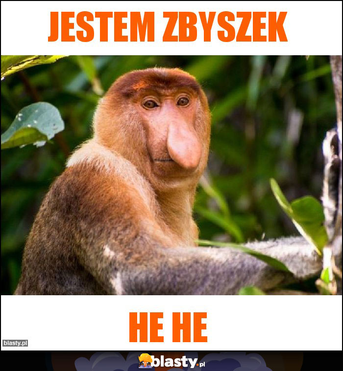 Jestem Zbyszek