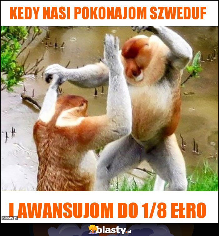 Kedy nasi pokonajom szweduf