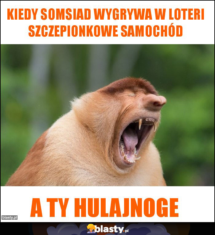 Kiedy somsiad wygrywa w loteri szczepionkowe samochód