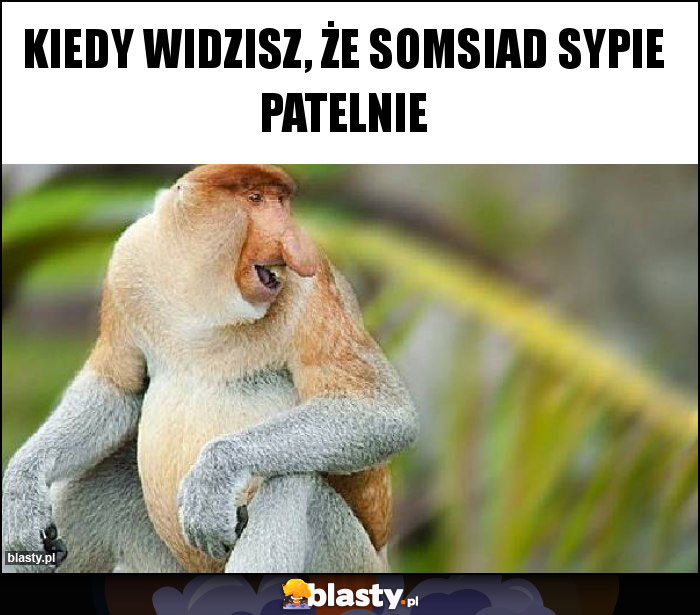 Kiedy widzisz, że somsiad sypie patelnie
