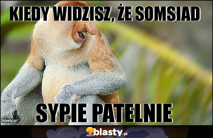 Kiedy widzisz, że somsiad