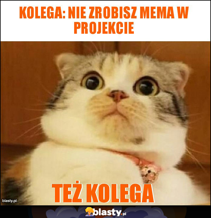 kolega: nie zrobisz mema w projekcie