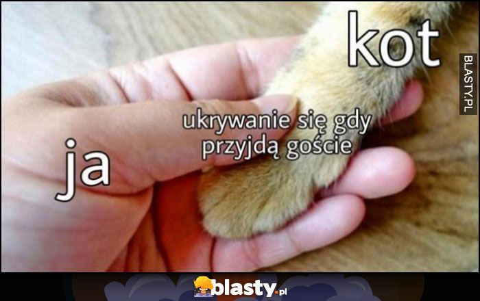 Kot i ja dzielimy ukrywanie się gdy przyjdą goście