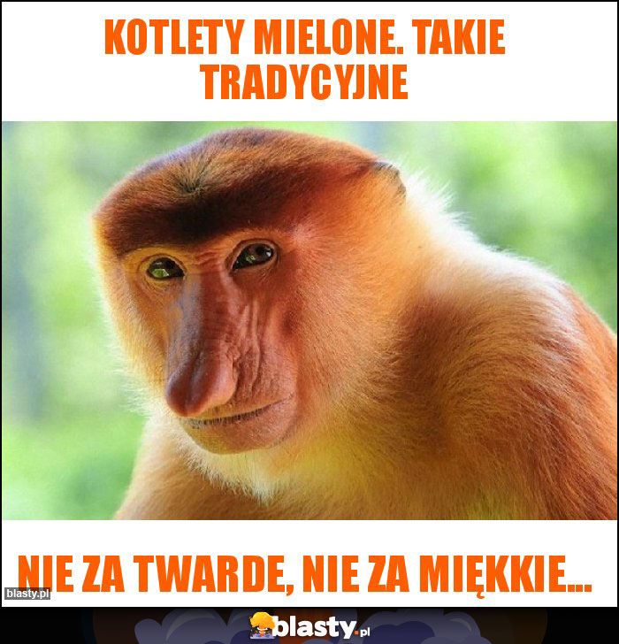 Kotlety mielone. Takie tradycyjne