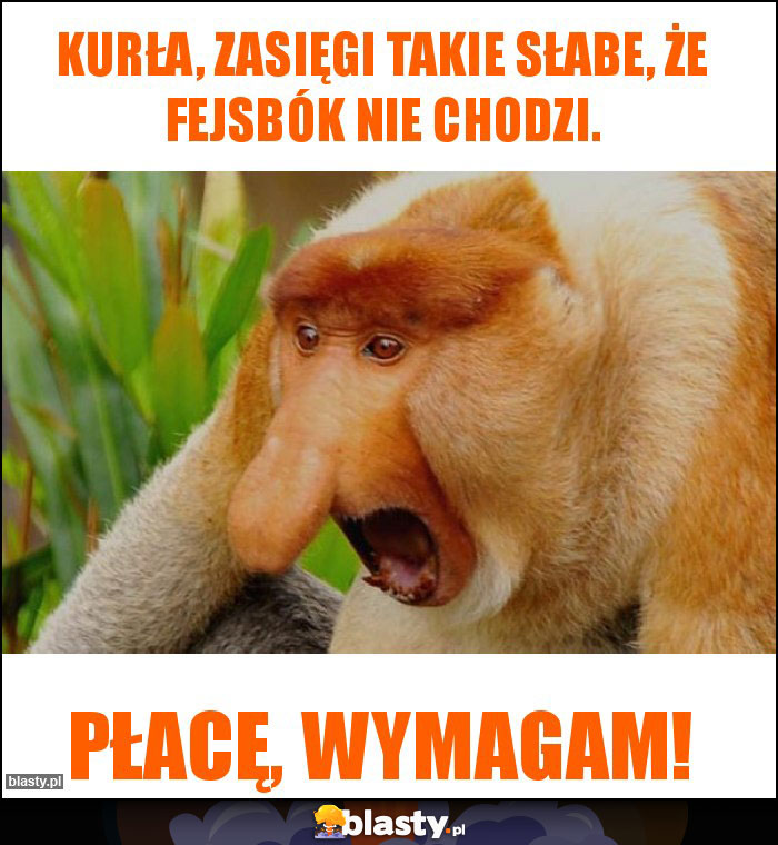 Kurła, zasięgi takie słabe, że fejsbók nie chodzi.