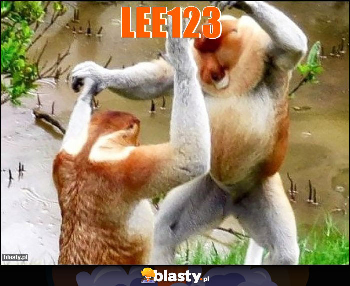 lee123