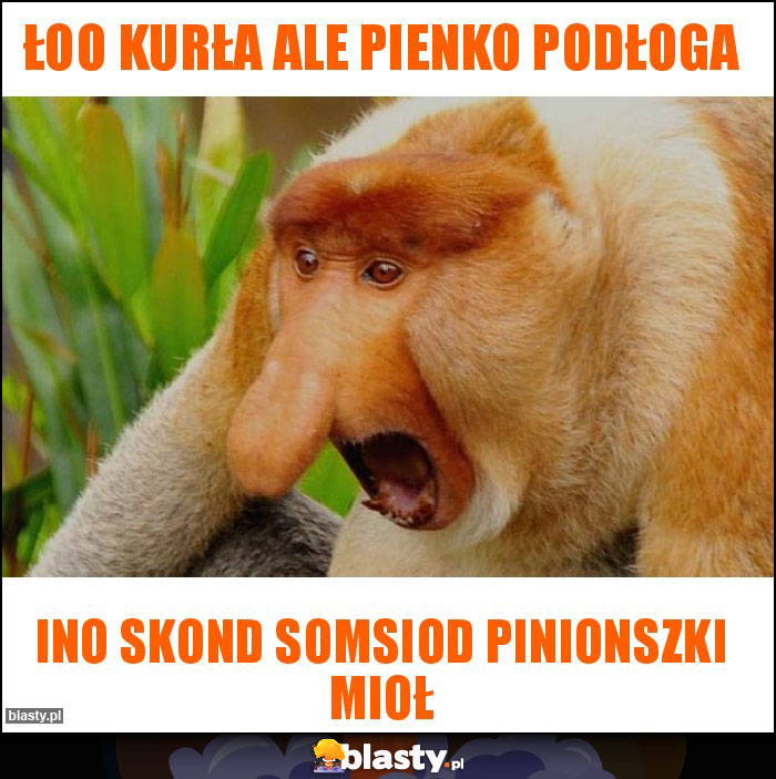 Łoo kurła ale pienko podłoga