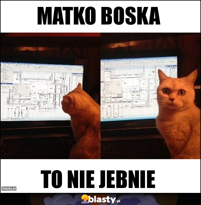 Matko boska