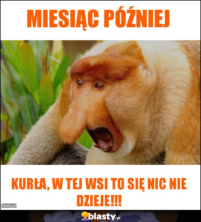 Miesiąc później