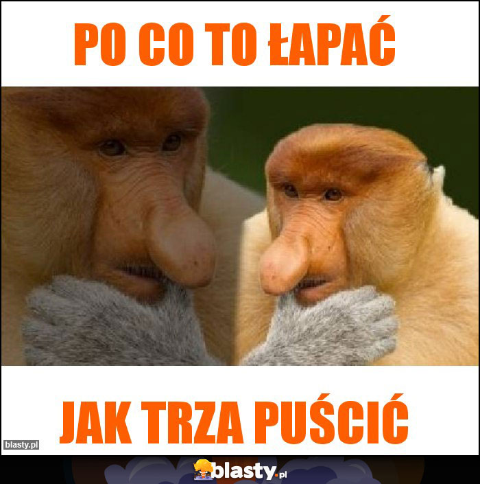 Po co to łapać