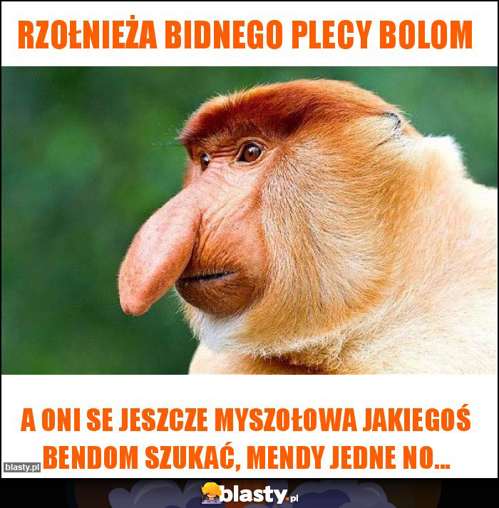 rzołnieża bidnego plecy bolom