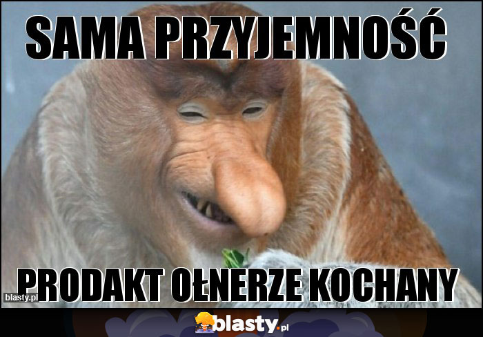 Sama przyjemność
