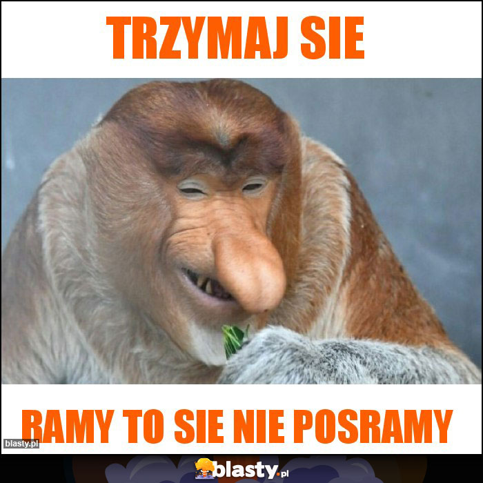 Trzymaj sie