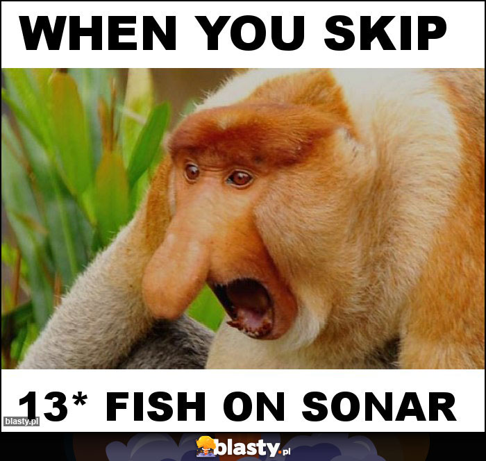 WHEN YOU SKIP