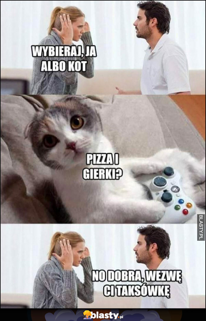 Wybieraj, ja albo kot, kot: pizza i gierki? No dobra, wezmę Ci taksówkę