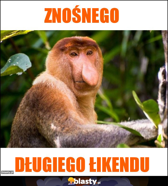 ZNOŚNEGO