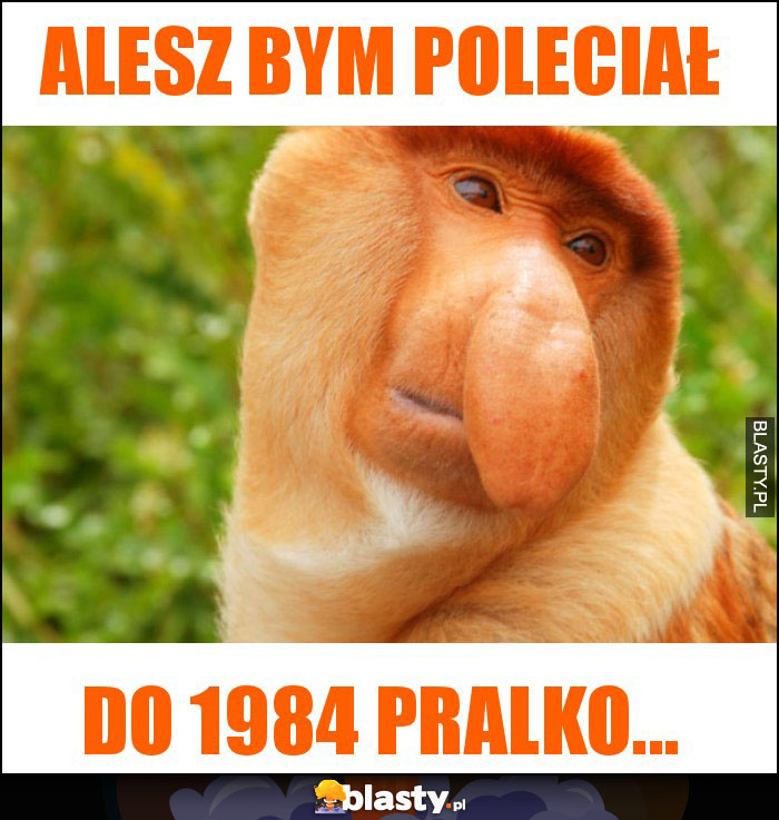Alesz bym poleciał