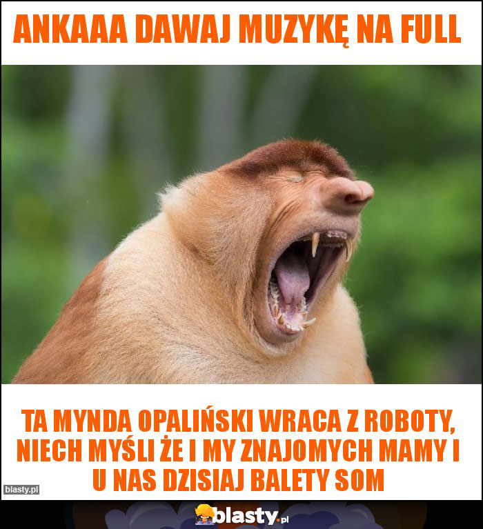 Ankaaa dawaj muzykę na full