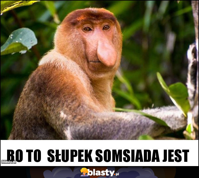 Bo to  słupek somsiada jest