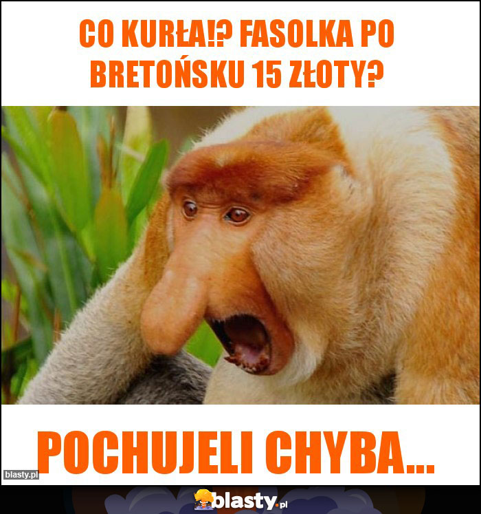 co kurła!? fasolka po bretońsku 15 złoty?