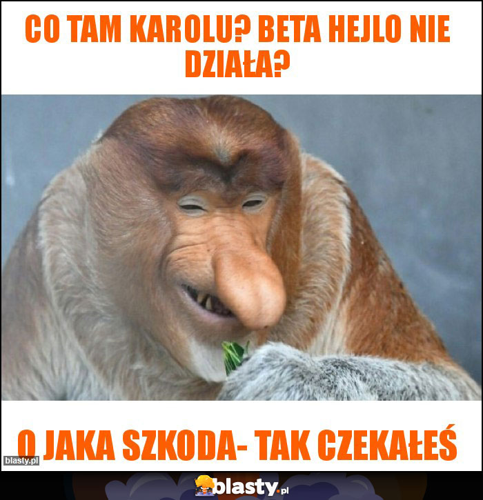 Co tam Karolu? Beta Hejlo nie działa?