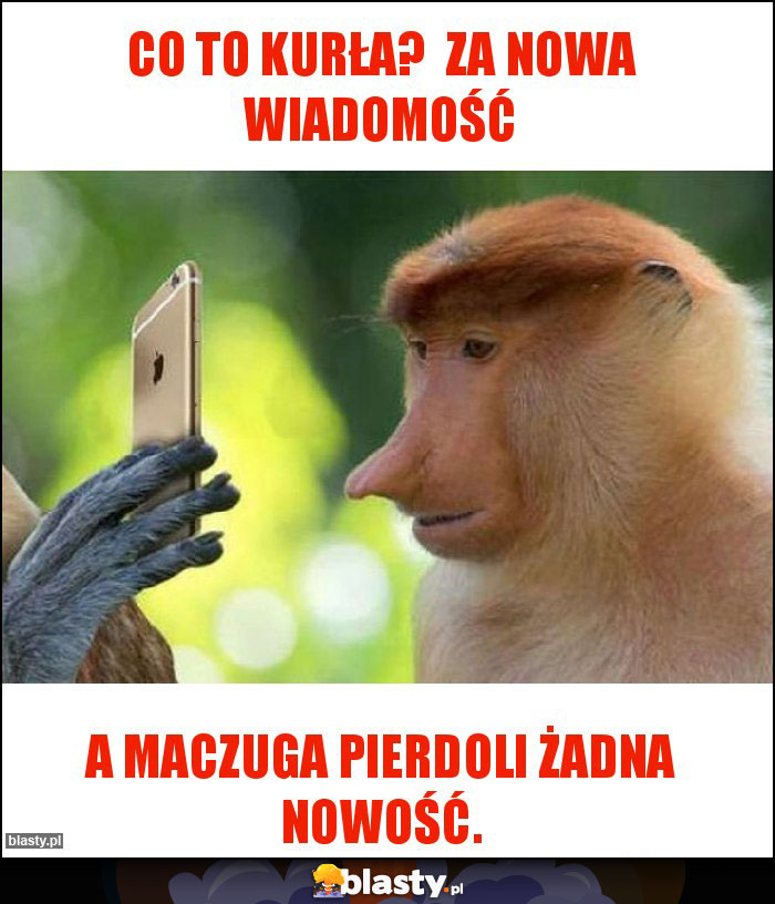 Co to kurła?  Za Nowa wiadomość