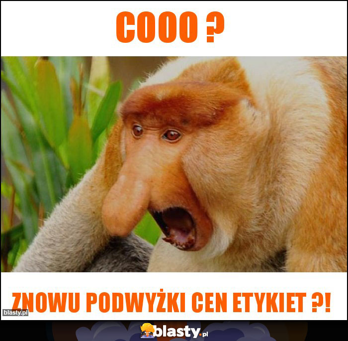 Cooo ?