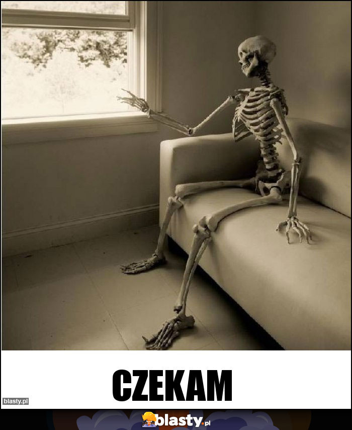 Czekam