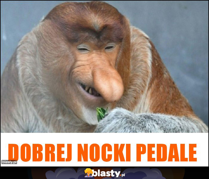 Dobrej nocki Pedale