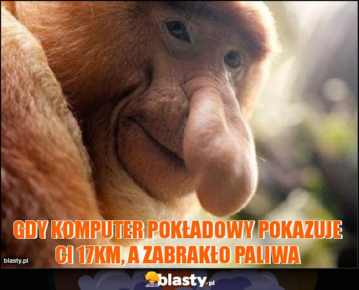 Gdy komputer pokładowy pokazuje Ci 17km, a zabrakło paliwa