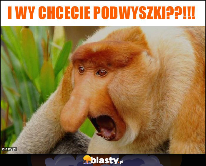 I wy chcecie podwyszki??!!!